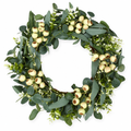 Eucalyptus Wreath – 20 in — product