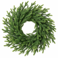 Real Touch Norfolk Pine Wreath – 22 in — product