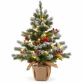 Pre-Lit Snowy Mini Christmas Tree – 2 ft — product